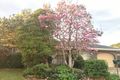 Property photo of 3 Maple Drive Alstonville NSW 2477