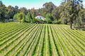 Property photo of 9 Glen Shian Lane Relbia TAS 7258