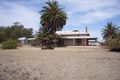Property photo of 231 Buckingham Road Mundulla SA 5270