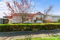 Property photo of 37 Lafayette Street Traralgon VIC 3844