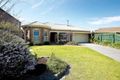 Property photo of 11 Lynda Court Aspendale Gardens VIC 3195