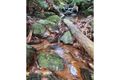 Property photo of 118 Maple Road Cow Bay QLD 4873