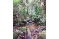 Property photo of 118 Maple Road Cow Bay QLD 4873