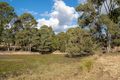 Property photo of 59 Linnings Road Haigslea QLD 4306