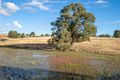 Property photo of 59 Linnings Road Haigslea QLD 4306