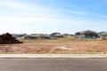 Property photo of 44 Lawler Drive Oran Park NSW 2570