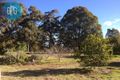 Property photo of 10 Tulley Road Lima East VIC 3673