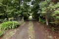 Property photo of 3 Agnes Street Gembrook VIC 3783