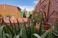 Property photo of 32 Queen Elizabeth Drive Barmera SA 5345
