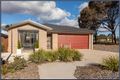 Property photo of 50 Bryan Hudson Street Macgregor ACT 2615