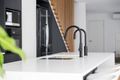 Property photo of 31 Rowntree Street Balmain NSW 2041
