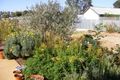 Property photo of 8 Jenkins Street Charlton VIC 3525