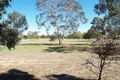 Property photo of 5 Blackbutt Road Lake Albert NSW 2650