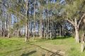 Property photo of 45 Mistview Circuit Forresters Beach NSW 2260