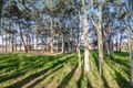 Property photo of 45 Mistview Circuit Forresters Beach NSW 2260