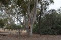 Property photo of 1029 Youarang Road Boosey VIC 3730