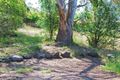 Property photo of 14 Myrtle Court Mount Nelson TAS 7007