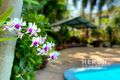 Property photo of 17 Grevillea Circuit Nightcliff NT 0810