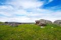 Property photo of 2407 Harmony Way Elphinstone VIC 3448