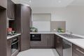 Property photo of 8A Hammersmith Avenue Edwardstown SA 5039