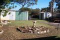 Property photo of 23 Ryan Road Padstow NSW 2211