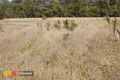 Property photo of 28 Pellitt Lane Dural NSW 2158