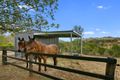 Property photo of 20 Reid Road Widgee QLD 4570