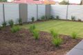 Property photo of 2 Edward Street Plympton SA 5038
