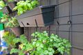 Property photo of 2/9 Furzer Street Preston VIC 3072