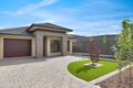 Property photo of 37 Pine Avenue Warradale SA 5046