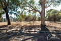 Property photo of 14 Dick Street Northam WA 6401
