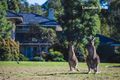 Property photo of 110 Casuarina Drive Pokolbin NSW 2320