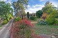 Property photo of 31 Holmes Street Willaston SA 5118