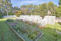 Property photo of 849 Great Ocean Road Bellbrae VIC 3228