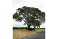 Property photo of 89 Little Road Willunga SA 5172