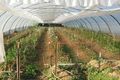 Property photo of 328 Deepfields Road Catherine Field NSW 2557