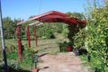 Property photo of 4 Coulls Street Freeling SA 5372