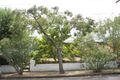 Property photo of 17 Millicent Avenue Toorak VIC 3142