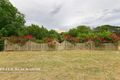 Property photo of 9 Walker Street Bredbo NSW 2626