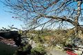 Property photo of 222 Nelson Street Annandale NSW 2038