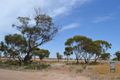 Property photo of 42 Forrest Street Kellerberrin WA 6410