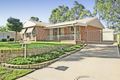 Property photo of 3 Dunbar Place Mount Annan NSW 2567