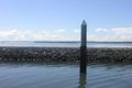 Property photo of 192 Lucas Drive Lamb Island QLD 4184