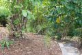 Property photo of 26 Kaffia Court Elanora QLD 4221