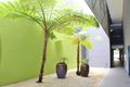 Property photo of 401/56-58 Bay Street Ultimo NSW 2007