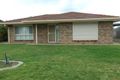 Property photo of 28 Harding Court Naracoorte SA 5271