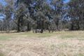 Property photo of 65 Hutchinson Road Murchison East VIC 3610