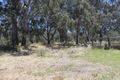 Property photo of 65 Hutchinson Road Murchison East VIC 3610