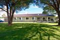 Property photo of 21 Chisholm Road Catherine Field NSW 2557