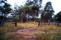 Property photo of 335 River Road Bungadoo QLD 4671